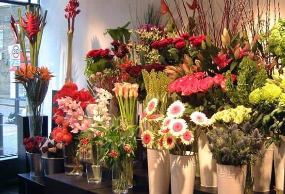 Cửa Hàng Hoa Tươi Thủy Tiên Đà Nẵng