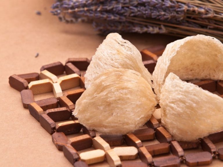 Yến Sào Khánh Hòa