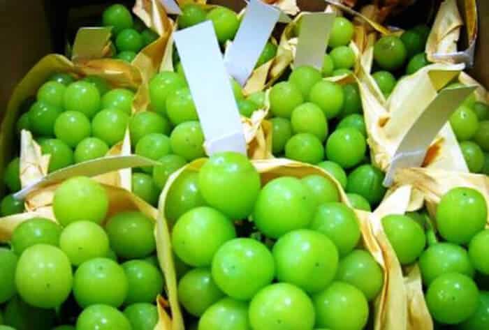 Cửa Hàng Trái Cây Nhập Khẩu