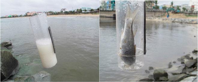 Câu cá tại bãi biển Nguyễn Tất Thành