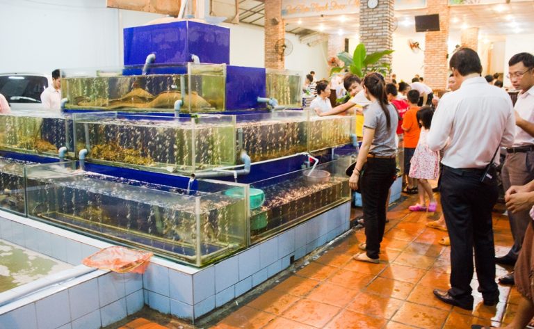 Các bể hải sản tươi sống đặt ngay giữa nhà hàng Rạn Biển 9